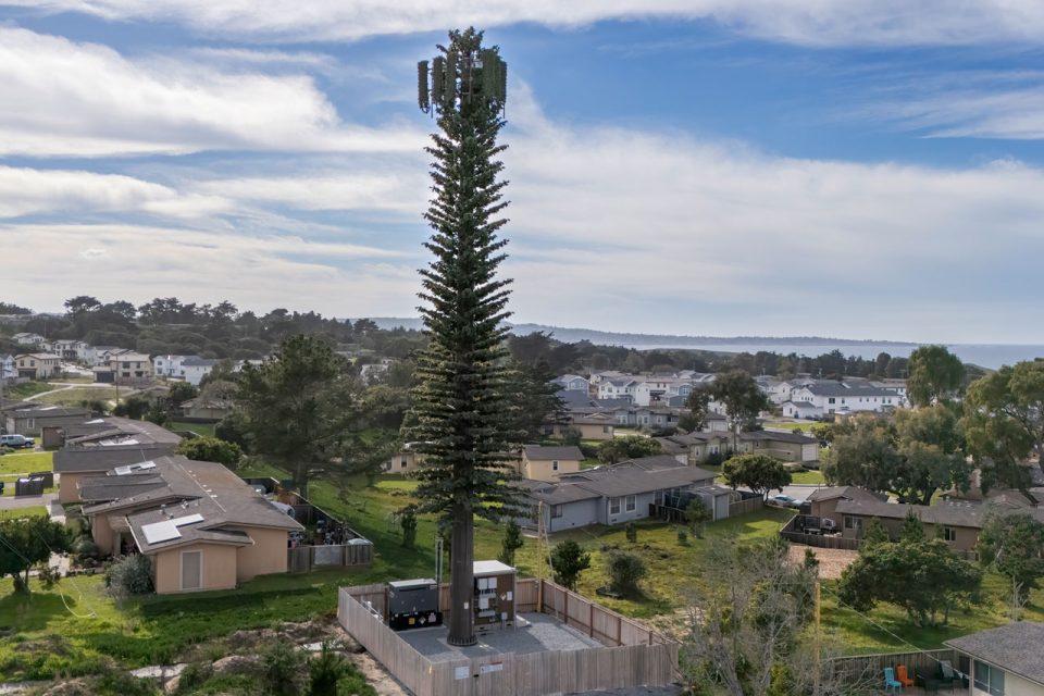 Tower disguised as a tree in a neighborhood